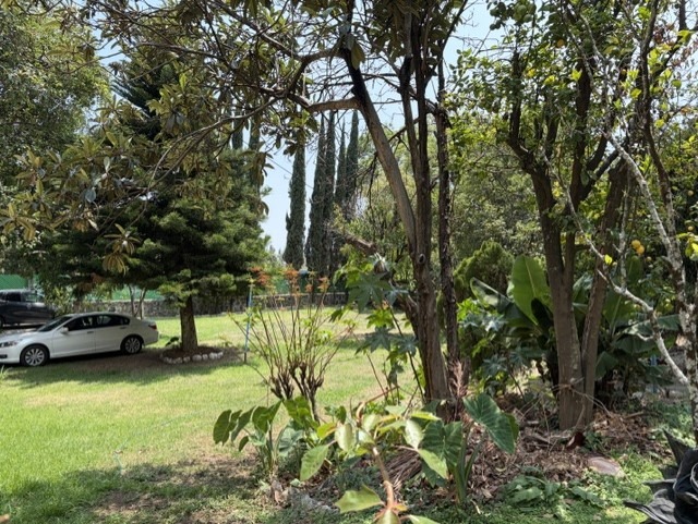 f01edad0-cad4-4558-ada9-24f0652e2862